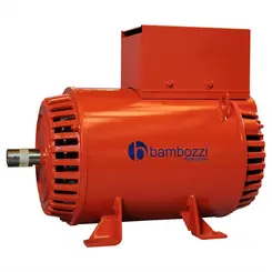 Gerador Auto-Regulado 6 KVA Monofásico 110/220 V Bambozzi
