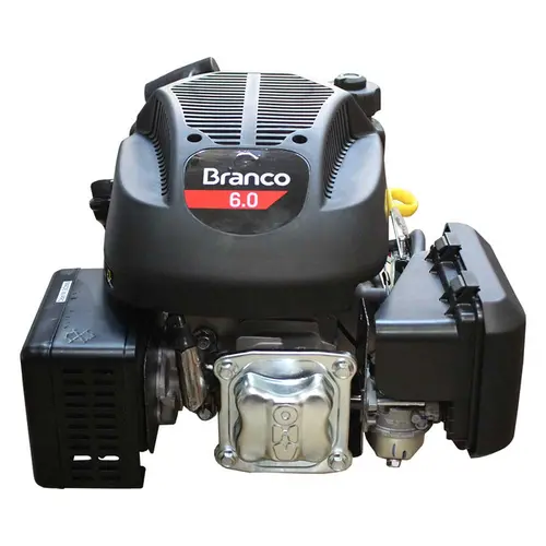 Motor Vertical a Gasolina 6,0 cv B4T6.0 Branco