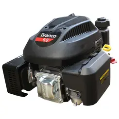 Motor Vertical a Gasolina 6,0 cv B4T6.0 Branco