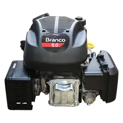 Motor Vertical a Gasolina 6,0 cv B4T6.0 Branco