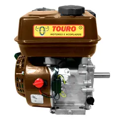 Motor a Gasolina Multiuso 7,0 cv 3/4" Touro TRG70