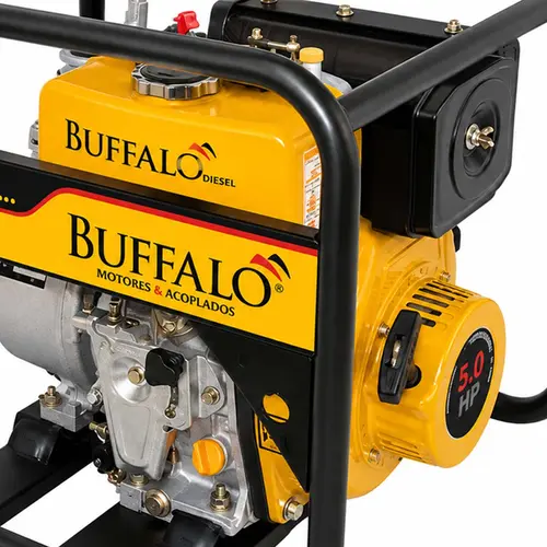 Motobomba BFD 2x2 AE M 5,0 cv Partida manual Master buffalo