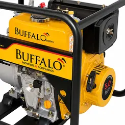 Motobomba BFD 2x2 AE M 5,0 cv Partida manual Master buffalo