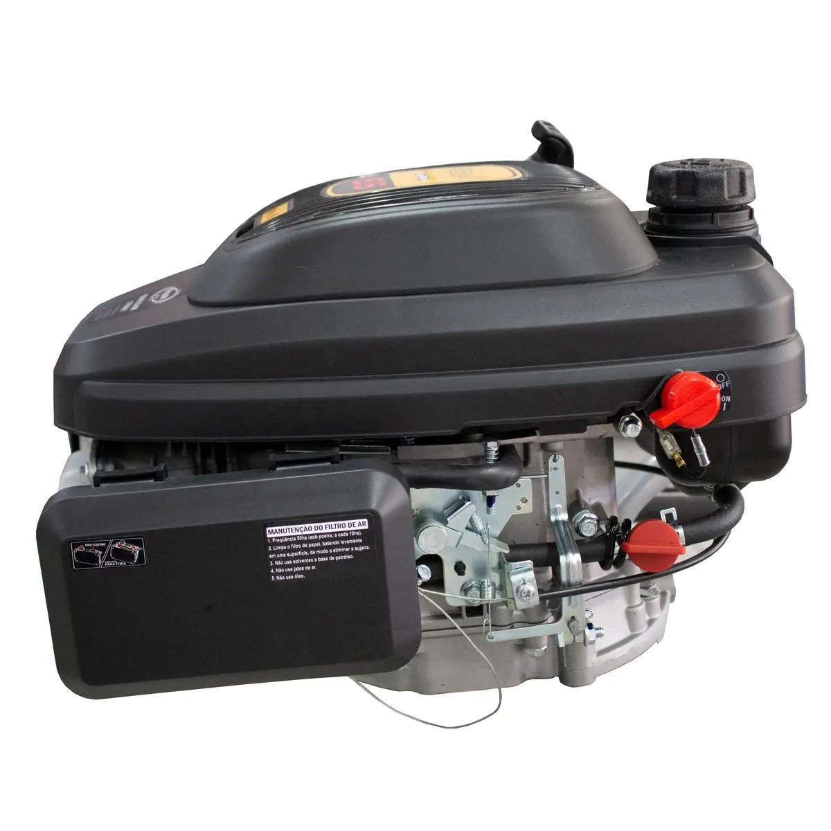 Motor Vertical a Gasolina 6,5 cv Outboard Buffalo BFG 6.5