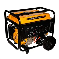 Gerador de Energia a Gasolina Monofásico 220V BFGE 8000 8 Kva Buffalo