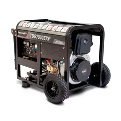 Gerador de Energia a Diesel Monofásico 110/220V 6 KVA Toyama TDG7000ExP