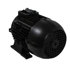 Motor Elétrico 4,0 cv 2 polos Trifásico 220/380V para J7600