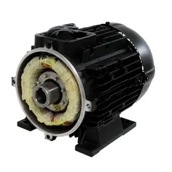 Motor Elétrico 4,0 cv 2 polos Trifásico 220/380V para J7600
