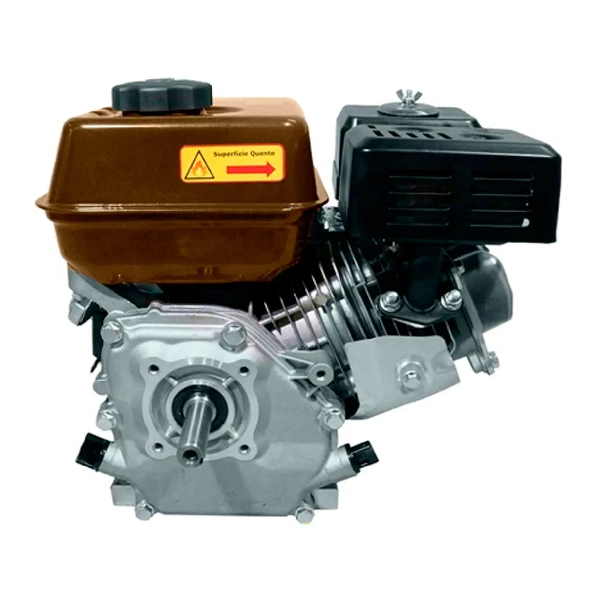 Rabeta Master Plus Pantaneiro 1,7m Motor Touro 7,0 cv TRG7