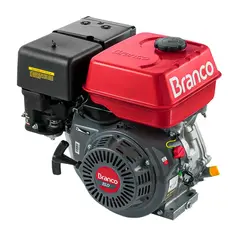 Motor a Gasolina 15,0 cv Partida Manual Branco B4T