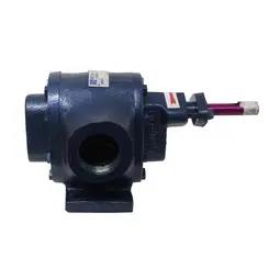 Bomba de Engrenagem 1.1/2" 11000 L/h Hidex H1C112 SL