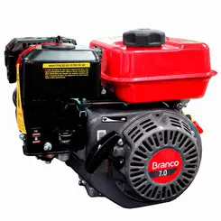 Rabeta para Barco 1,7m Luxo com Motor a Gasolina 7,0 cv 3/4" 212 cc Branco B4T7.0