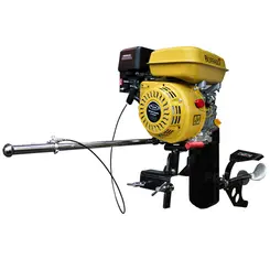 Rabeta Vertical Tailandesa com Motor a Gasolina Buffalo 15cv BFG