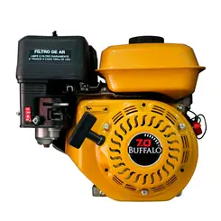 Rabeta Vertical Tailandesa com Motor a Gasolina Buffalo 7cv BFG