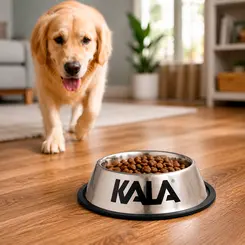 Tigela para Pets em Aço Inox 22cm Kala