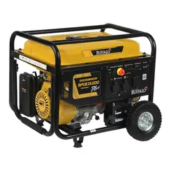 Motogerador Buffalo BFGE 13.000 PLUS - 13 kVA, 115/230V