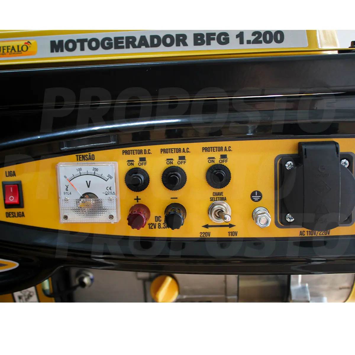 Gerador a Gasolina Monofásico 220V Partida Manual 1,0 kVA Buffalo 60333