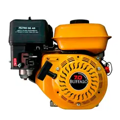 Rabeta Master Plus Pantaneiro 2,2m e Motor Buffalo 7,0cv BFG