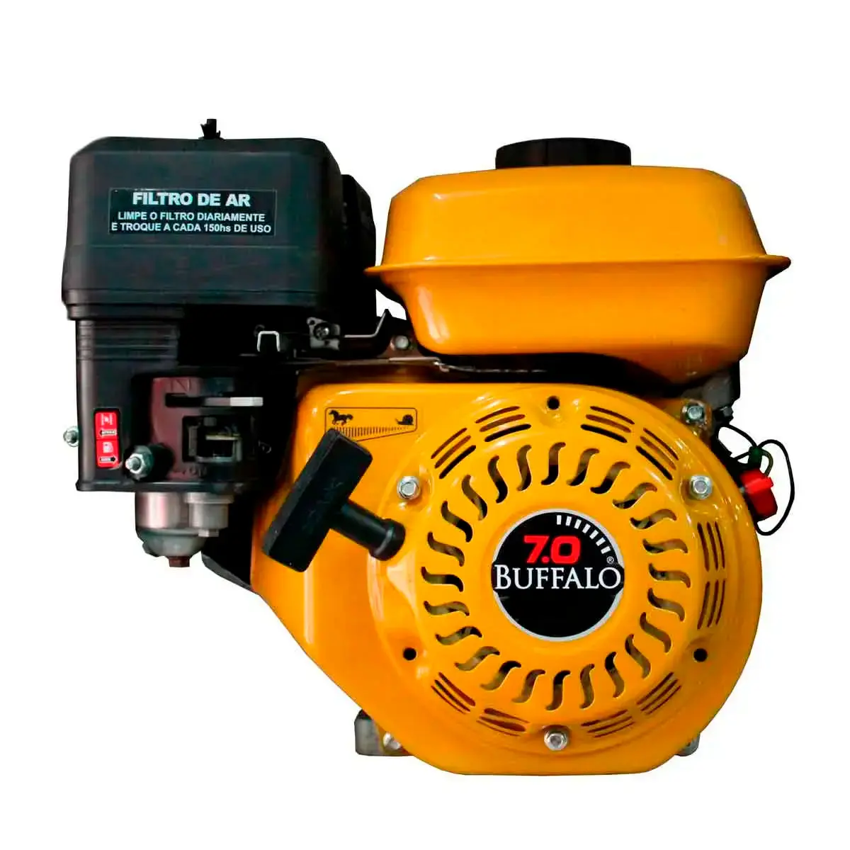Rabeta Master Plus Pantaneiro 2,2m e Motor Buffalo 7,0cv BFG