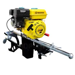 Rabeta Vertical Tailandesa com Motor a Gasolina Matsuyama 7,0 cv