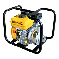 Motobomba à Gasolina 2 Pol 7CV Inox Buffalo BFG2