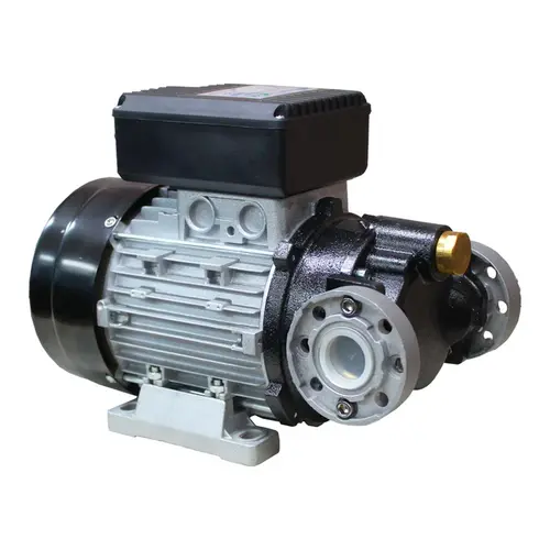 Bomba Elétrica 220V para Óleo 50L/min Bremen 10656