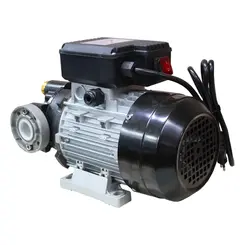 Bomba Elétrica 220V para Óleo 50L/min Bremen 10656