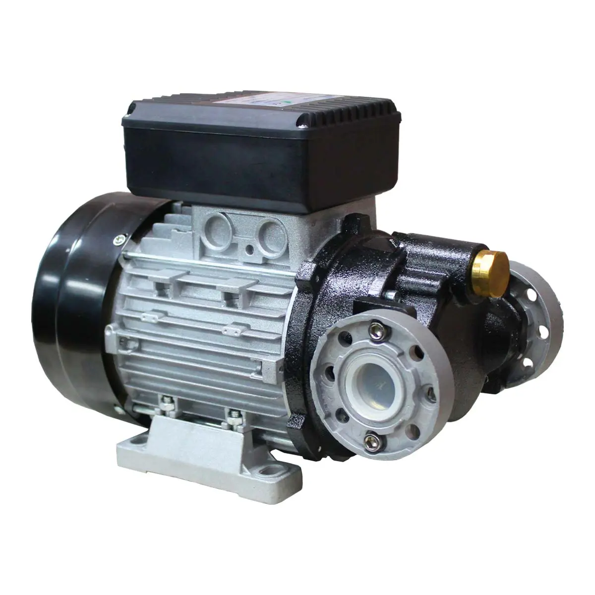 Bomba Elétrica 220V para Óleo 50L/min Bremen 10656