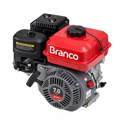 Motor a Gasolina B4T-7.0L 7CV Branco