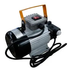 Bomba Elétrica de Palhetas GEPW 220V 40 L/min
