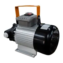 Bomba Elétrica de Palhetas GEPW 220V 40 L/min